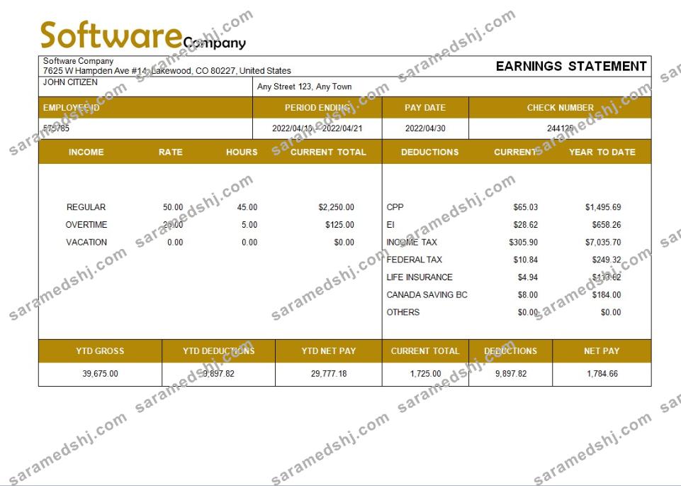 software company paystub template in Word and PDF formats